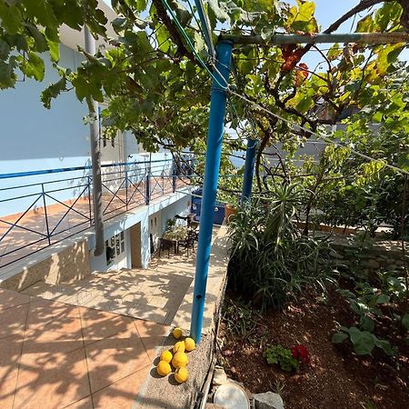 Dina House Apartment ฮีมาเรอ ภายนอก รูปภาพ